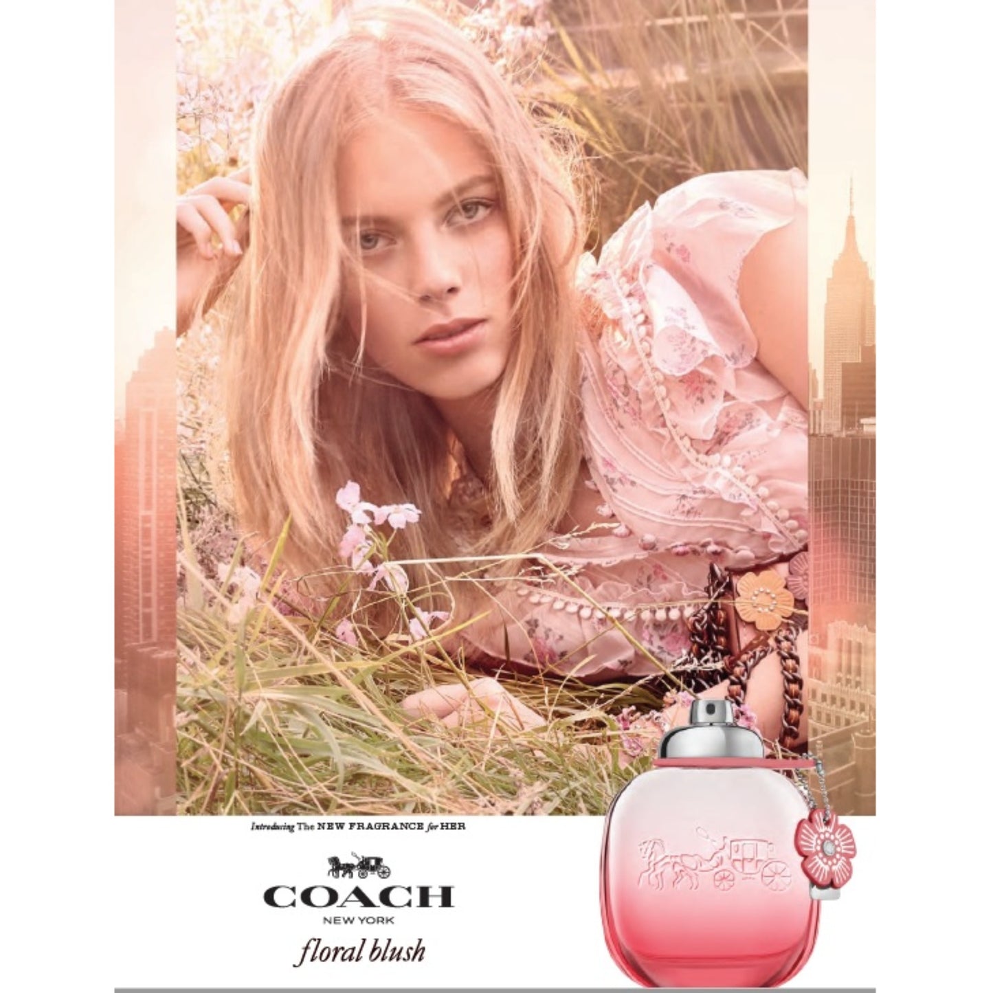 Coach Floral Blush Eau de Parfum - Perfume Planet 